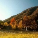 오늘은 효경재가복지의 개원기념일입니다. 축하의 뜻으로... 이미지