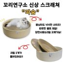 꼬리연구소 이미지