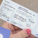 EBS 최고다 호기심 딱지 시즌3 이미지