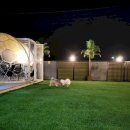 알로하오에 이미지