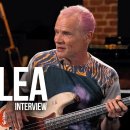 플리(The Flea) 인터뷰 : 레드 핫 칠리 페퍼스 베이스 아이콘 이미지