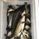 임진낚시캠핑 이미지