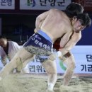 양평군청 웹이코노미