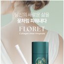 파코메리 이미지