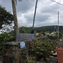 화요책수다ON | [제주/애월] 네추럴 우드 스타일에 cosy 감성 가득한 독채펜션 &#34;머무른채 사흘동&#34; 2박 후기