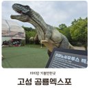 경남 고성 공룡엑스포 축제 기본정보 예약 할인 공연퍼레이드