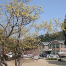 주천도서관 이미지