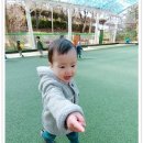 이라율