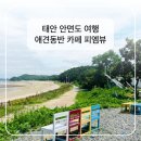 피엠 | 태안 여행 중 우연히 발견한 안면도 오션뷰 애견동반 카페 '피엠뷰' 솔직 후기