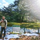 우진송죽마을 이미지