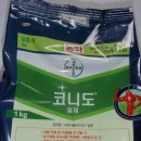 주홍농장 이미지