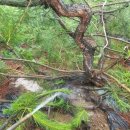 용복농장 이미지