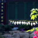 연등2길 이미지