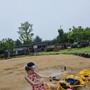 아이올레인포레스트캠핑 이미지