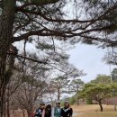 위니아딤채평화점 | 포천 몽베르 cc 남코스 봄 라운딩