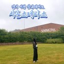 이천테르메덴세탁소 | 경기도 이천 비 오는 날 실내데이트 "시몬스테라스" : 서울 근교 인생샷 찍기 좋은 곳
