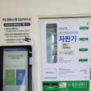 크린토피아무안오룡
