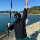 금당통발 영어조합법인 | 통영, 남해 등 낚시포인트 후기 3탄 🎣 (with. 성공과 실패썰)