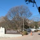 의정부역(동부광장)택시정류장 주변 | 241218_도봉산(도봉동~문사동계곡~거북골~우봉능선~송추남능선~송추)