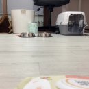 그루밍케이 이미지