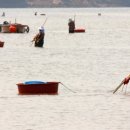 제8회 하동섬진강문화재첩축제 이미지