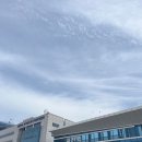 씨유탄방중앙점 | 23&#39;가을 1박2일 여자 혼자 뚜벅이 대전 여행 : 성심당투어, 대전시립미술관, 이응노미술관, 대전 공공...