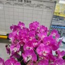 영화원 네이버블로그