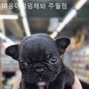 야옹아멍멍해봐(주월점) 이미지