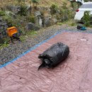 충남학원 앞 | [공지] 충남 예산 캠핑장 스노우라인 캠핑빌리지 캠핑페스티벌 할로윈 캠핑 최고!