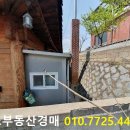 신동-110 이미지