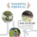 블루밍청춘