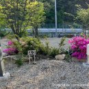 무심골 캠핑장 이미지