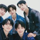 젤리피쉬 이미지