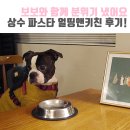 더프라임펫샵 | [보보일기/얼띵앤키친] 합정 상수 반려견 애견동반 분위기 좋은 파스타 맛집 후기!