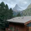 초원의집 이미지