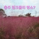 탄금호순환자전거길 5 | 충주 하방마을 핑크뮬리 인생샷은 없고 진짜 후기는 있다