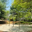 팽성어린이공원 이미지