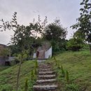 올라운드원양평 이미지