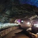 일출랜드식물원 이미지