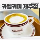 제주 동쪽 구좌 핫플! 카멜커피 제주점에서 여유로운 브런치 타임☕(+ 조천농협 로컬푸드하나로마트)