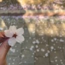 달콤어린이치과의원 이미지