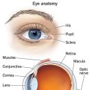 경산약국 이미지