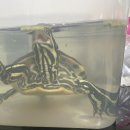 강산동물병원 이미지