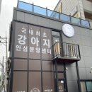 드림독 강아지고양이 안심분양센터 평택점 네이버블로그