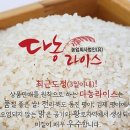 법인다농