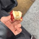 루이밥통 | 페이다추 가정식, 상해 핫플 카페, 북와이탄 공원, 점도덕 후기, 상해 시티버스 미니버스, 마그레브 열차)