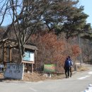 원주굽이길 2코스 700년 노송길 이미지