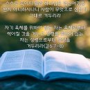 노다지 이미지