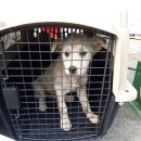 청룡주유소 이미지