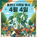 마켓풀